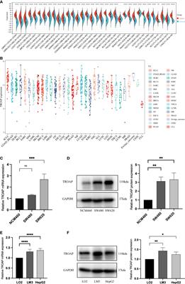 Pan-cancer analysis of trophinin-associated protein with potential implications in clinical significance, prognosis, and tumor microenvironment in human cancers